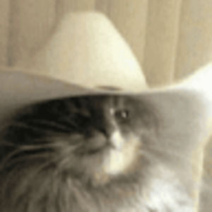 Meet your Posher, Eleanor